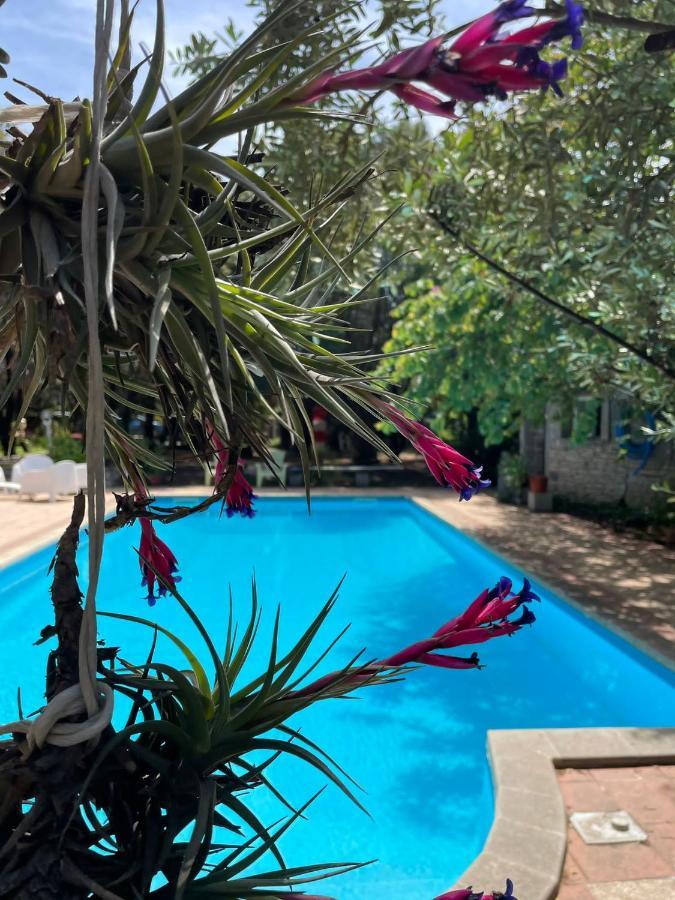 Villa Loft: Garden Retreat with Private Pool Sestu Exterior photo